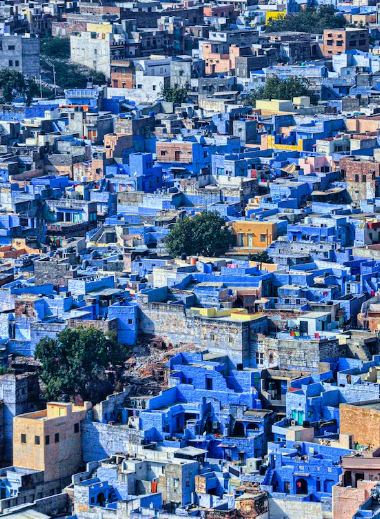 Blue Houses of Jodhpur