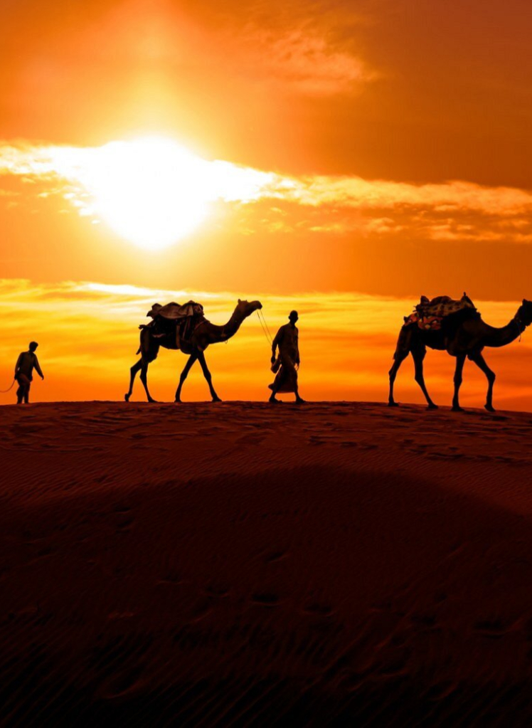Sam Sand Dunes jaisalmer
